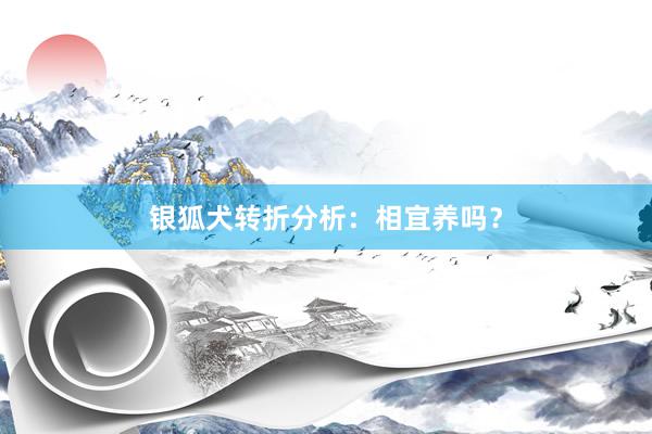 银狐犬转折分析：相宜养吗？